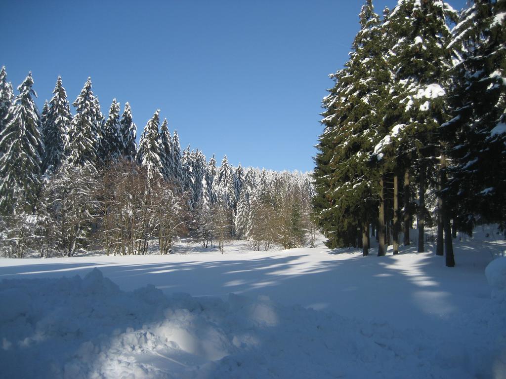 Ferienwohnung Schneemann Hohegeiß Δωμάτιο φωτογραφία