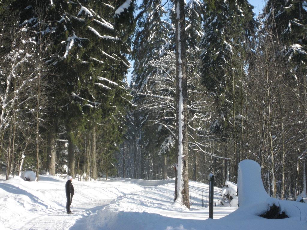 Ferienwohnung Schneemann Hohegeiß Δωμάτιο φωτογραφία