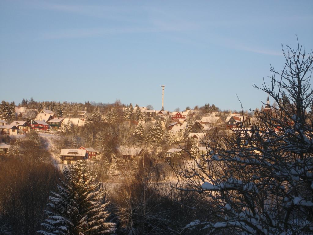 Ferienwohnung Schneemann Hohegeiß Εξωτερικό φωτογραφία