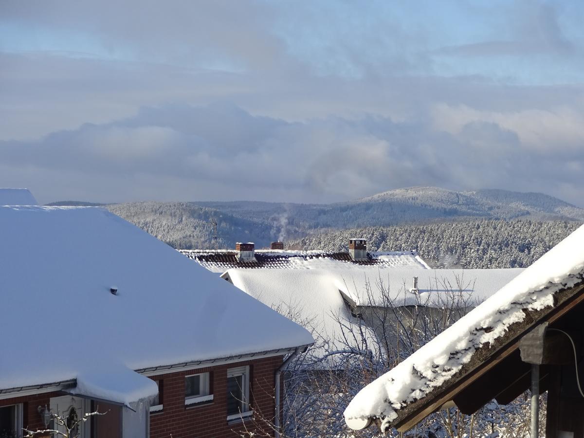 Ferienwohnung Schneemann Hohegeiß Εξωτερικό φωτογραφία