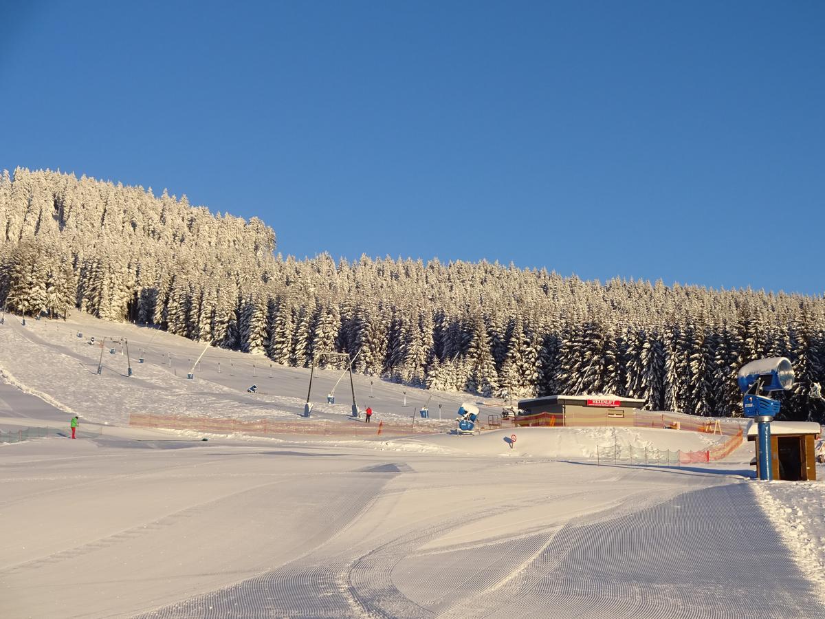 Ferienwohnung Schneemann Hohegeiß Εξωτερικό φωτογραφία