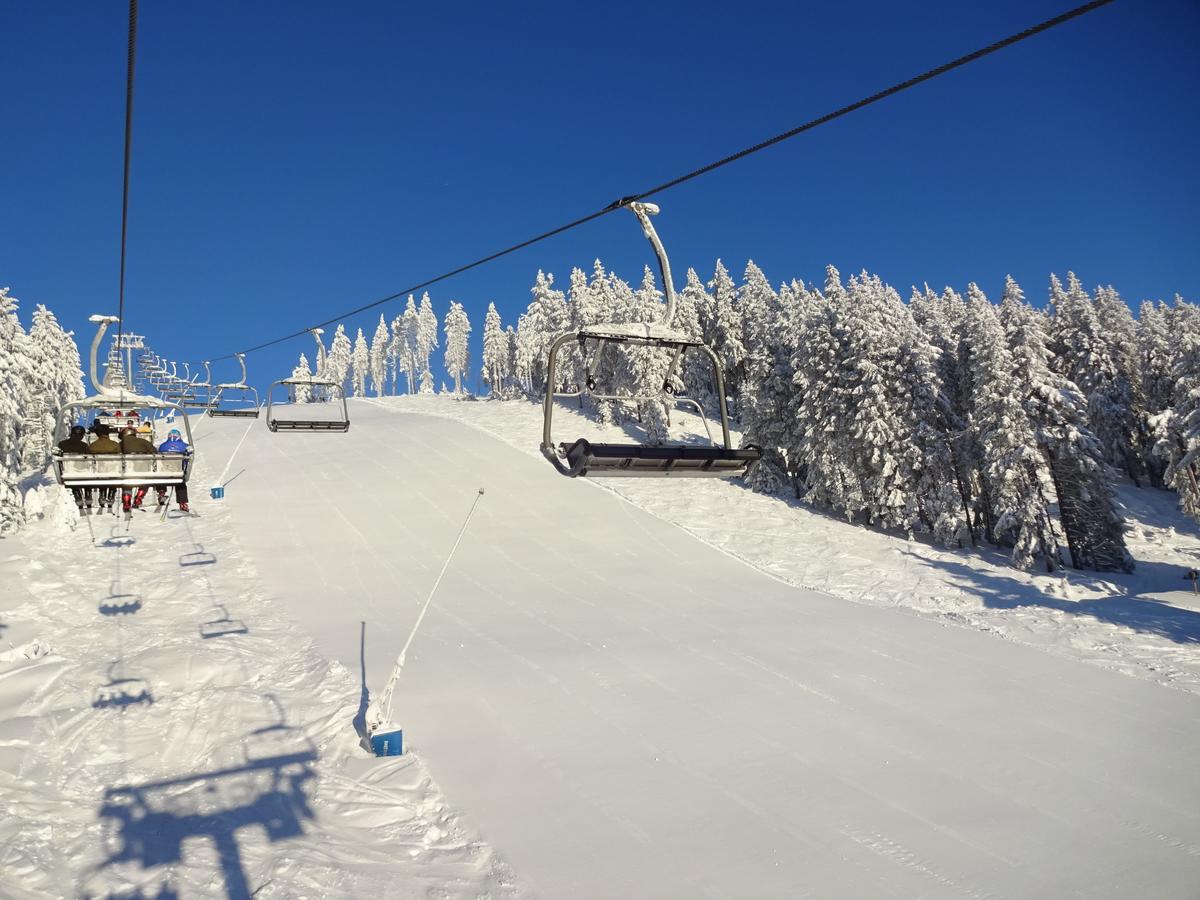 Ferienwohnung Schneemann Hohegeiß Εξωτερικό φωτογραφία